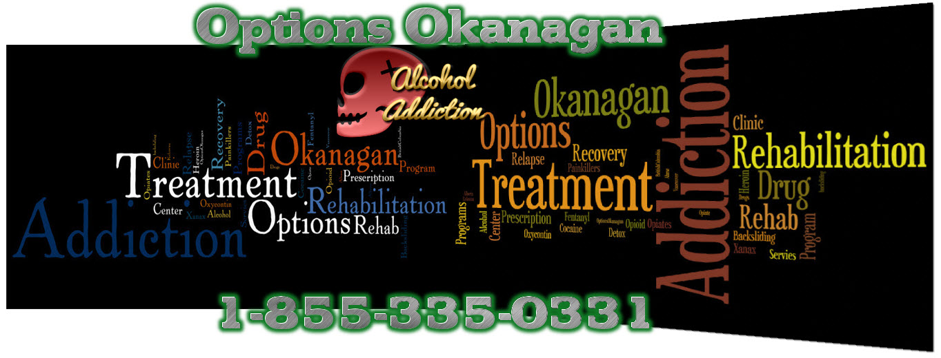 Alcohol abuse and addiction in Calgary and Edmonton